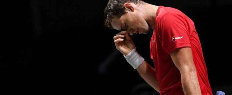 Djokovic case: Pospisil castigates the Australian government