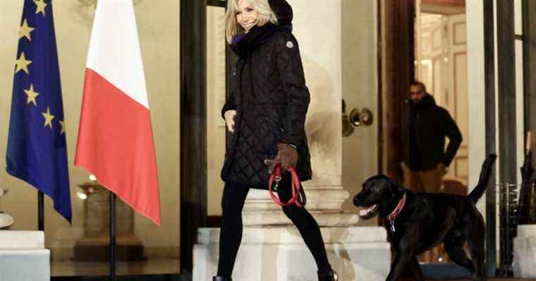 Emmanuel and Brigitte Macron: Their dog Nemo, star of a new campaign with … Denis Brogniart