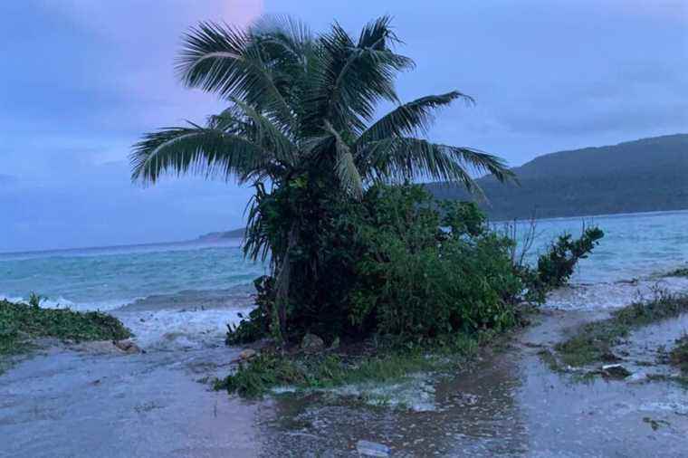 Eruption in Tonga: tsunami alert triggered in Wallis and Futuna