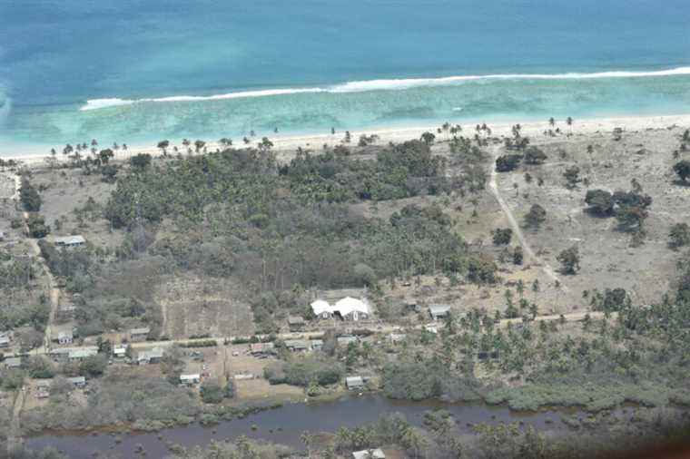 Eruption in the Tonga Islands |  Residents determined to rebuild