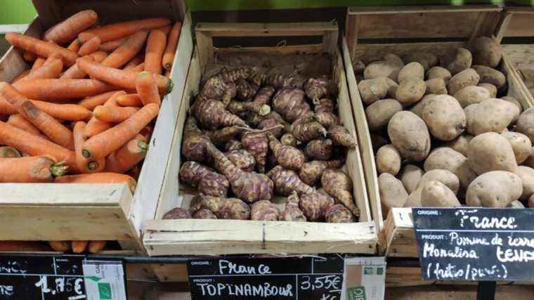 Fruit and vegetable prices jumped 9% in France between 2019 and 2021, according to Rural Families