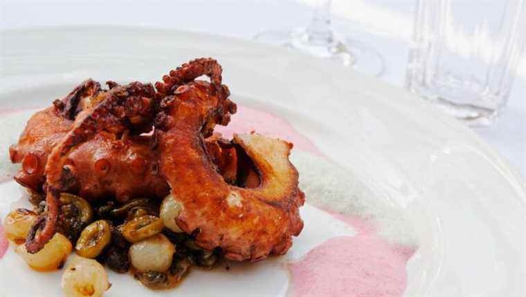 Grilled octopus with Glasgow Stéphanois