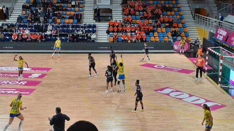 Handball.  The Panthères de Fleury-les-Aubrais start 2022 with a defeat against Metz