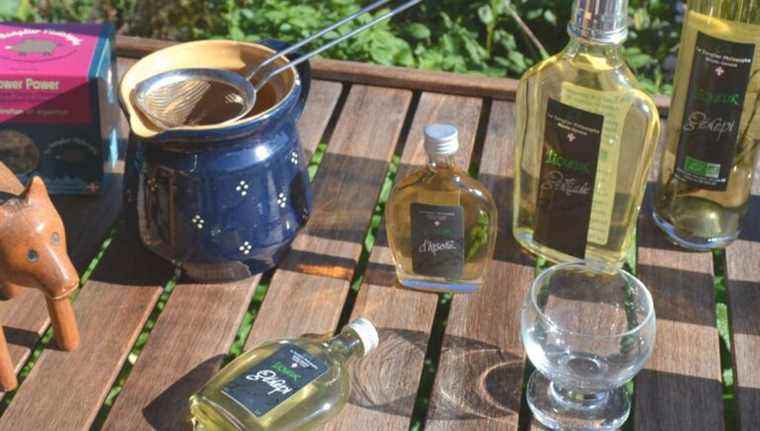 Herbal teas, herbs, syrups and liqueurs from the philosopher boar with Luc Carrel