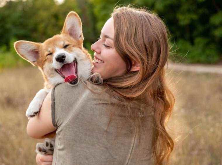 Here is the breed of dog that matches your astrological sign the most… you must adopt it!