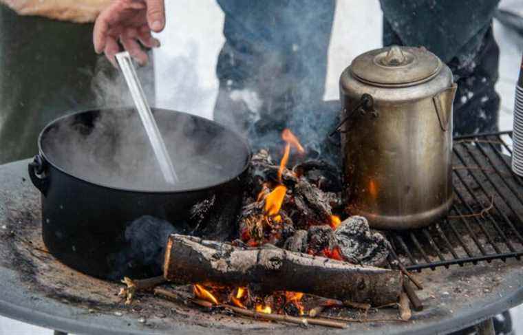 Hikes to discover edible forest products