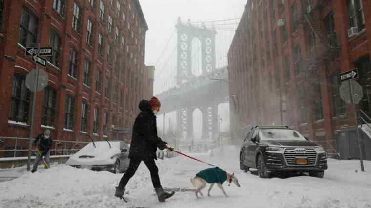 IN IMAGES, IN PICTURES.  The east coast of the United States frozen under the snow after the passage of a “cyclonic bomb”