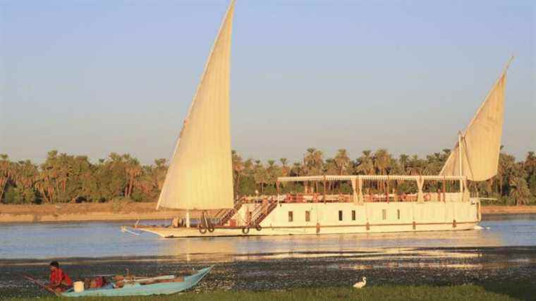 In Egypt, the life of a teacher changes after a belly dance during a private outing