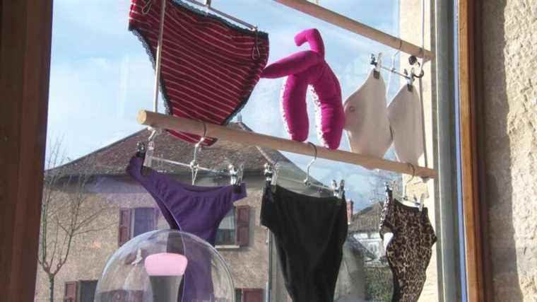 In Isère, a shop specializes in reusable menstrual products