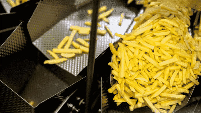 In Japan, imported potatoes no longer have fries in fast food restaurants