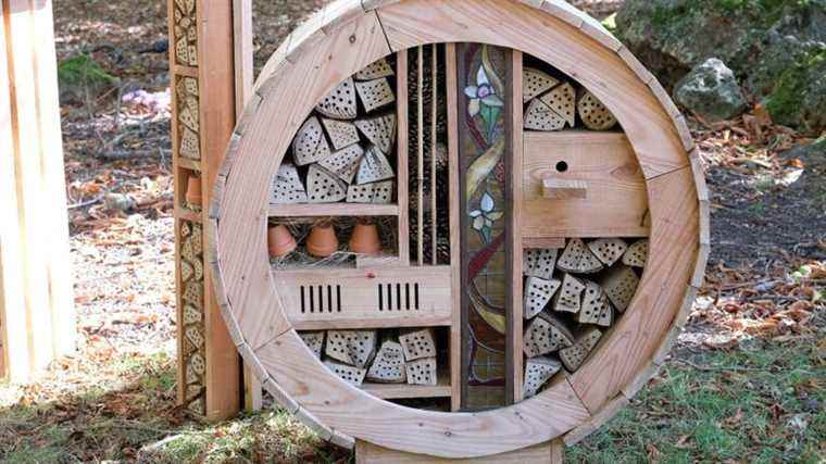 Insect hotels.  What materials to use?  Where to install them?