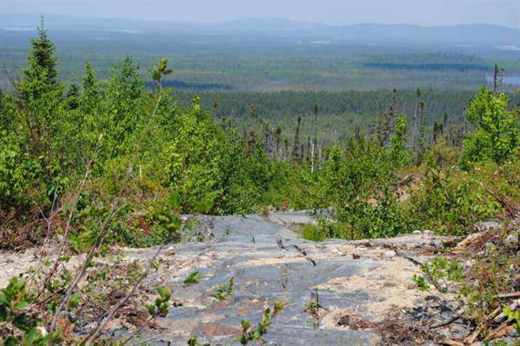 BlackRock Metals |  A former CEO denounces Investissement Québec