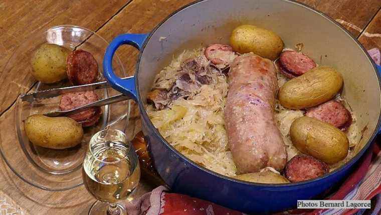 LIMOUSINE SAUERKRAUT with cabbage from Nell Guérin market gardener in Saint Merd de Lapeau