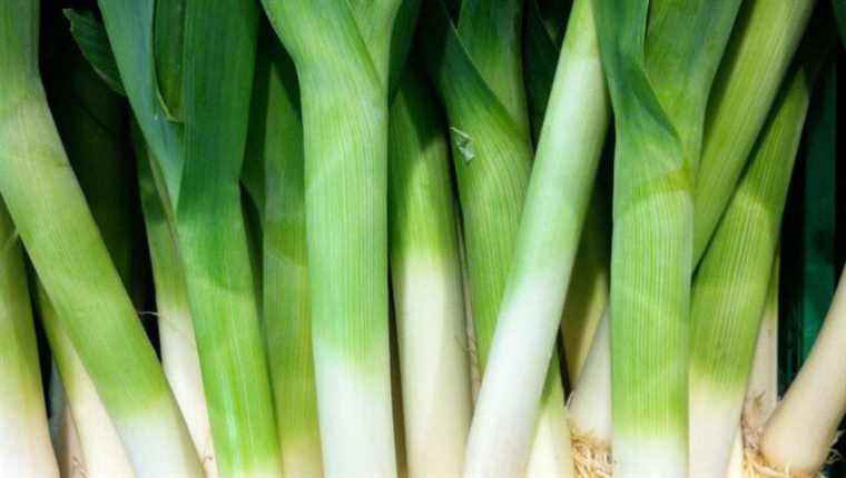 Leek in all its forms, with Nadine Gauthier