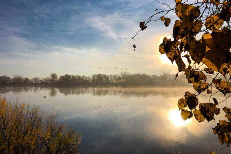 Legal personality for the river |  A call to Quebec municipalities