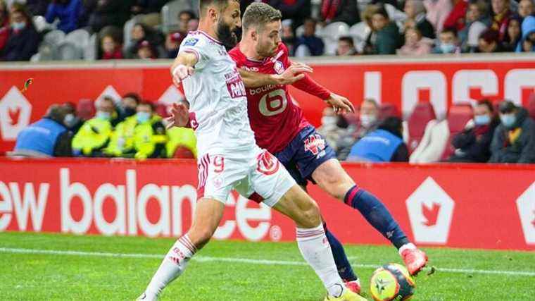 Ligue 1: Stade Brestois receives Lille, follow the match in full