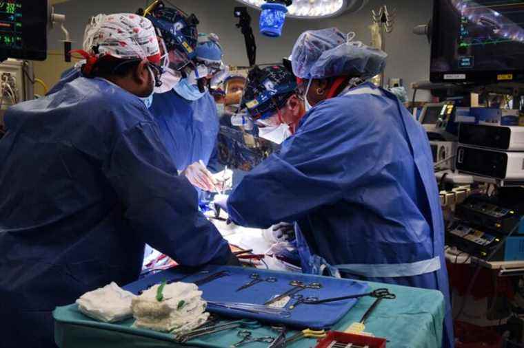 Medical first |  Surgeons successfully transplant heart from pig to human