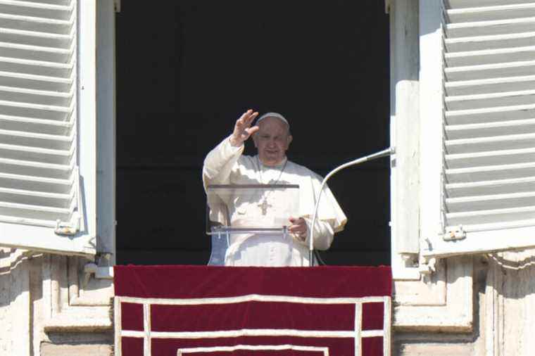 Message of the first day of the year |  Pope castigates violence against women