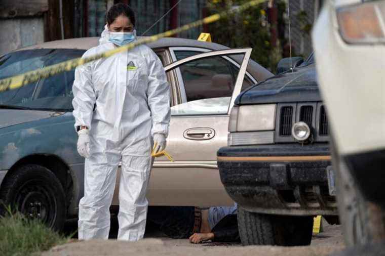 Mexico |  An average of 91 murders per day in 2021, down slightly