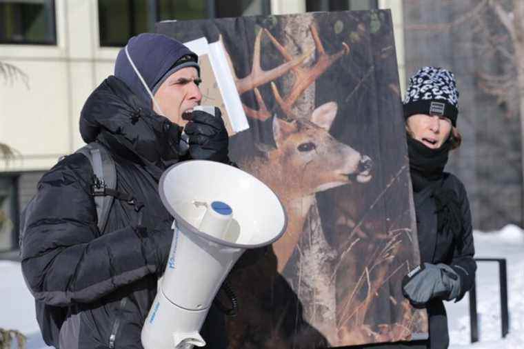 Michel Chartrand Park |  Another demonstration against deer culling