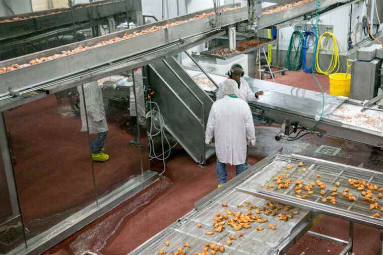 New fund of 100 million for the food industry in Quebec