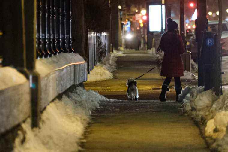 Walking your dog during curfew should again be allowed