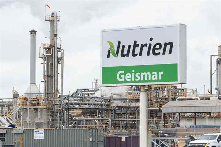 Nutrien’s big boss resigns