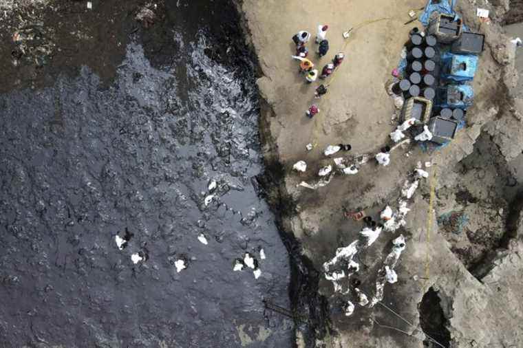 Oil spill |  Peru declares ‘environmental emergency’