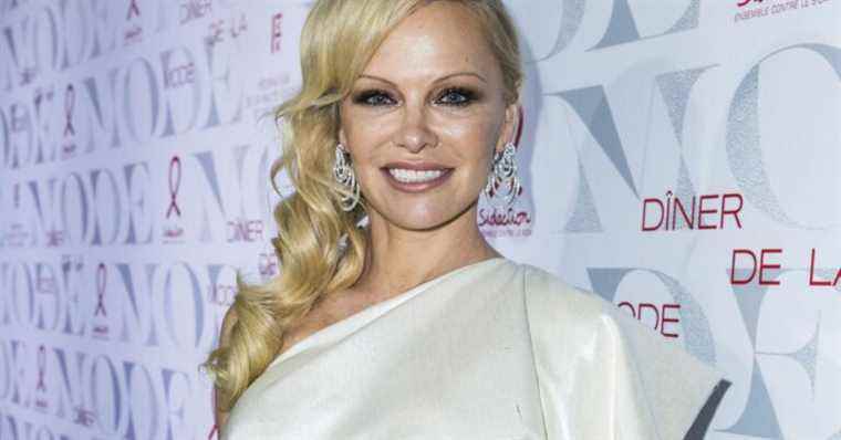 Pamela Anderson, marriage with Dan Hayhurst: intimate ceremony, princess dress … and accusation of infidelity!