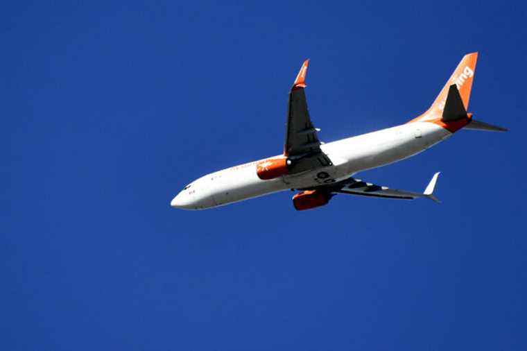 Party on a Sunwing Plane |  Flight should have been halted, say experts