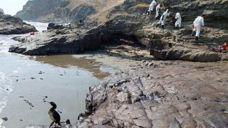 Peru affected by an oil spill following the tsunami at the other end of the Pacific