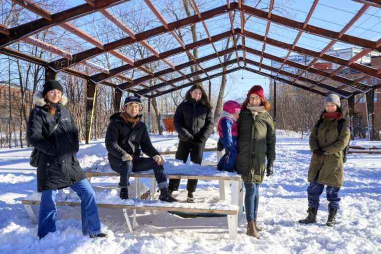 Project in Lachine |  Affordable cohousing: between bricks and social interweaving