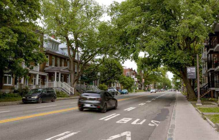 Quebec tramway: Bruno Marchand, the man who will plant trees