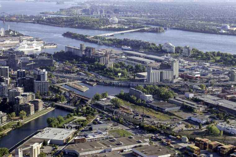 Return of baseball |  Montreal will not put the Peel basin in reserve