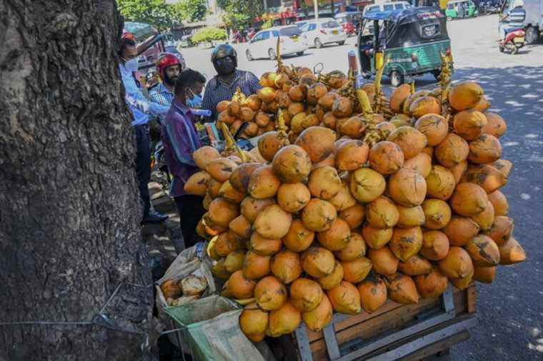 Sri Lanka |  Food prices soar