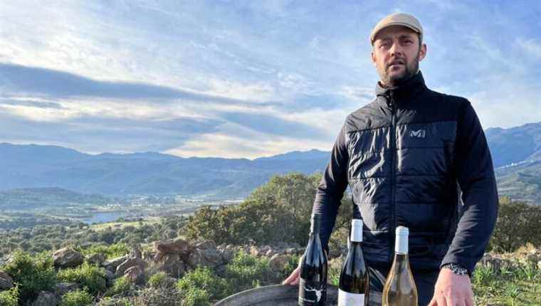 Stéphane Bertolozzi, winemaker in Oletta