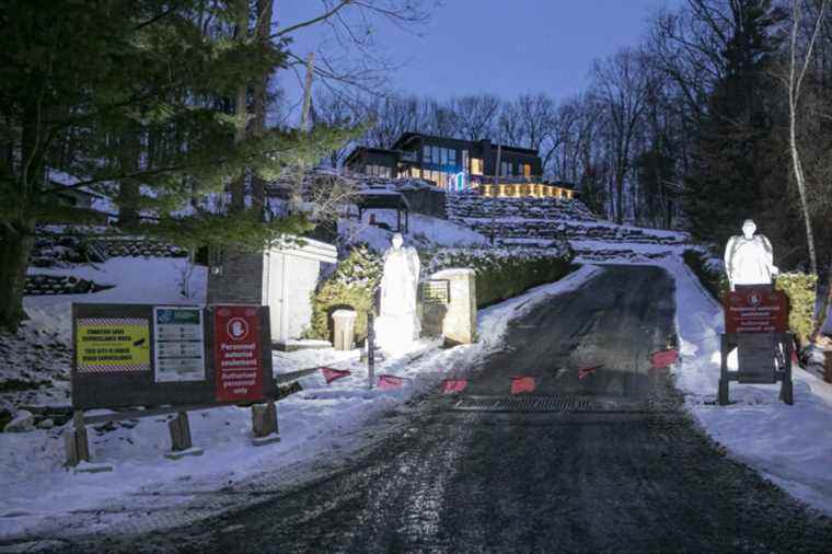 Sunwing flight organizer |  A “mini forest” razed to the Awad estate