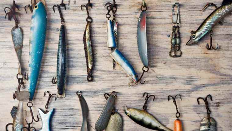 The Tanta, a very specific lure