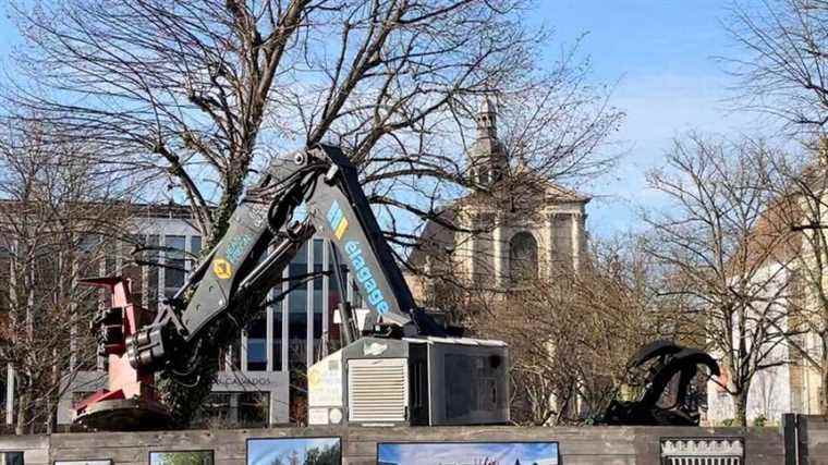 The felling of trees was illegal Place de la République according to the Court of Appeal