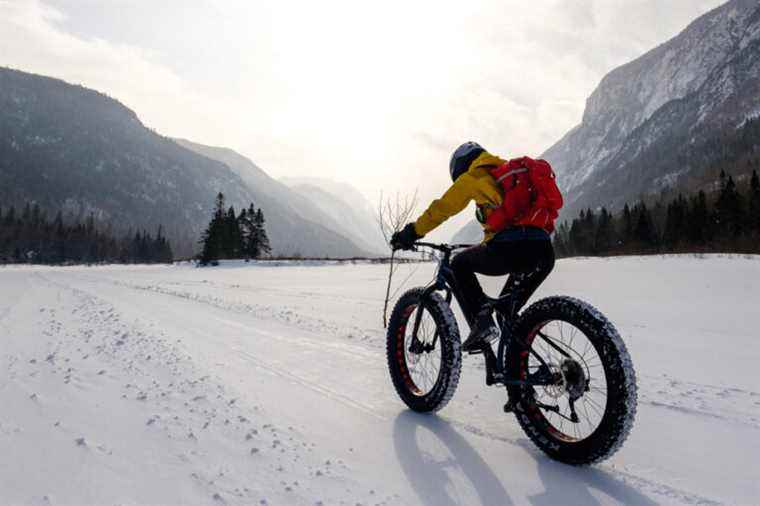 The insurance issue has an impact on the fatbike