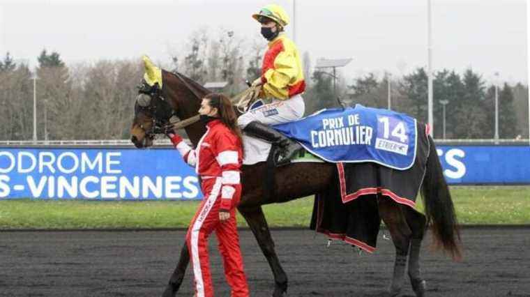 The manager of a tobacco shop in Montpellier bet on the right horse