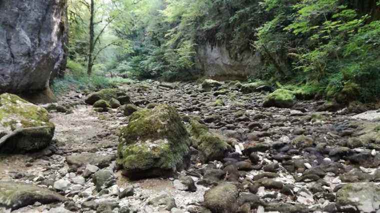 The state of natural disaster recognized for Gray-la-Ville, in Haute-Saône