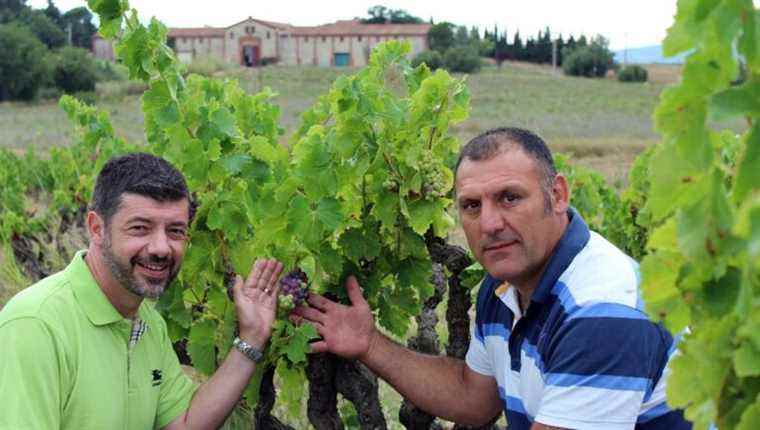 The wines of Château Mas Deu in Trouillas