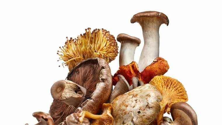 To live old and beautiful, eat mushrooms