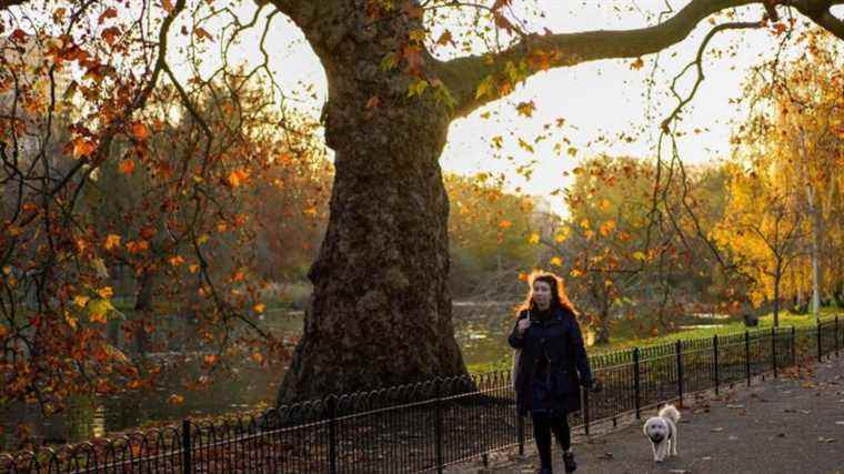 UK records hottest New Year’s Day