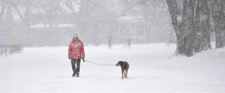 Up to -42 in certain regions of Quebec