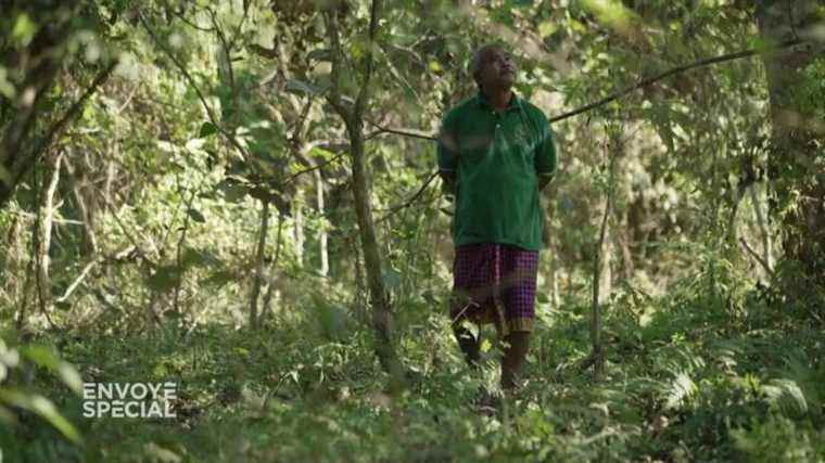 VIDEO.  Jadav Payeng, the “Forest Man” of India who created with his own hands a forest bigger than Central Park