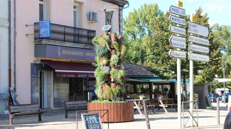 Vegetated totems, a new way to flower the city