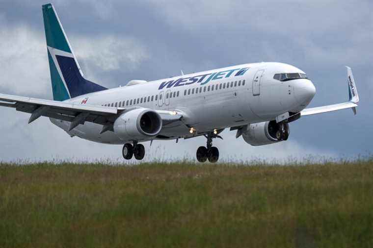 WestJet cancels 20% of its flights in February