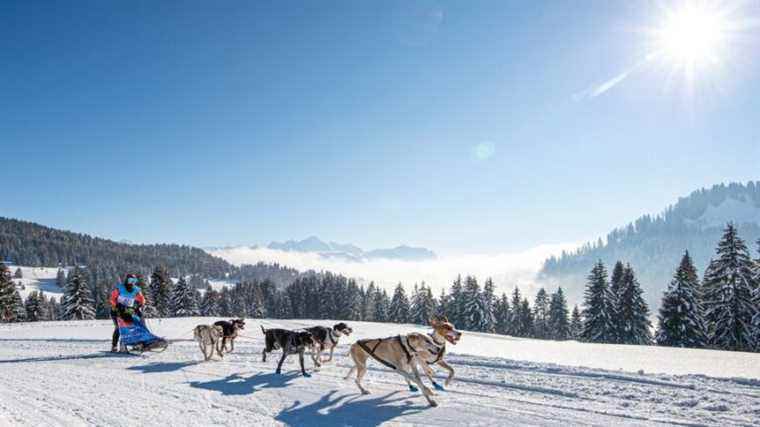 Win your stay in the mountains in Lanslebourg with the Grande Odyssée Savoie Mont-Blanc 2022